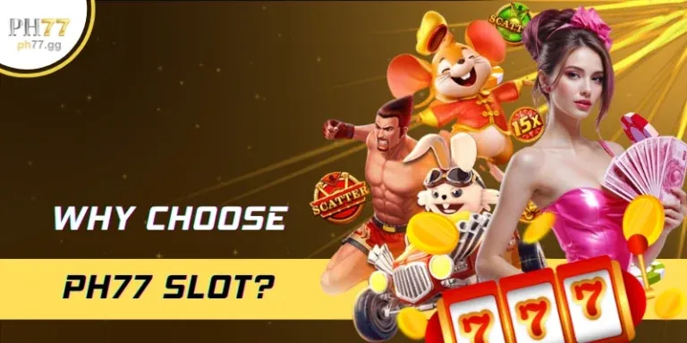 Chứng nhận an toàn Boss8
