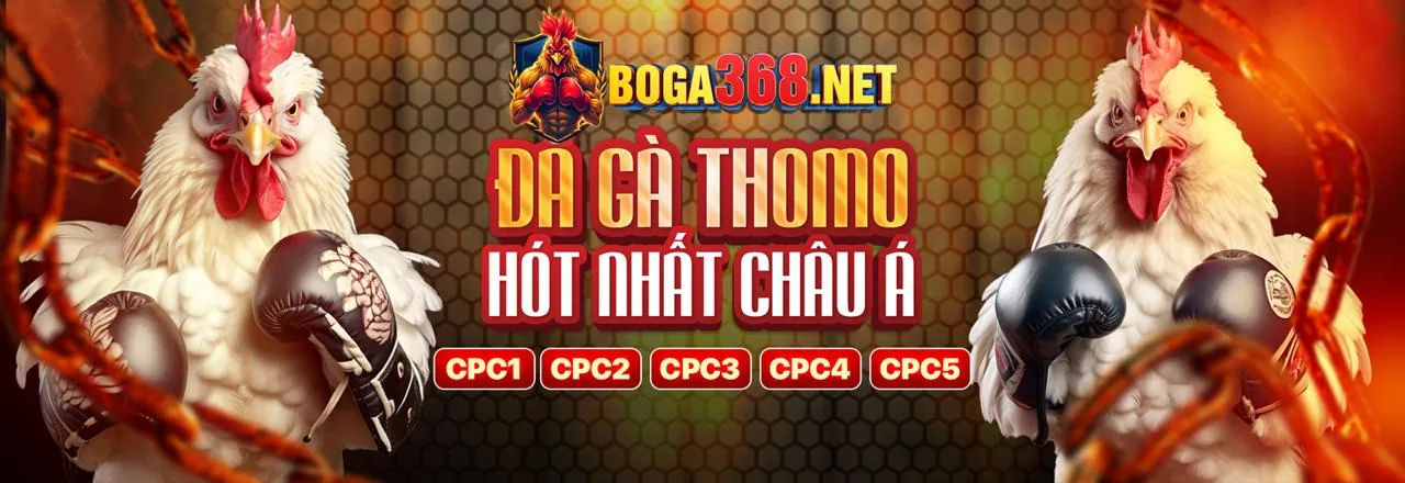 Đá Gà Trực Tuyến Hấp Dẫn tại Boss8 Nhà Cái